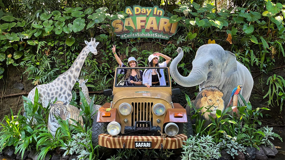 safari2